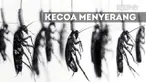 Kecoak seringkali membuat masyarakat jijik dan takut, Malangnya, beberapa orang ini harus berurusan dengan serangga ini.