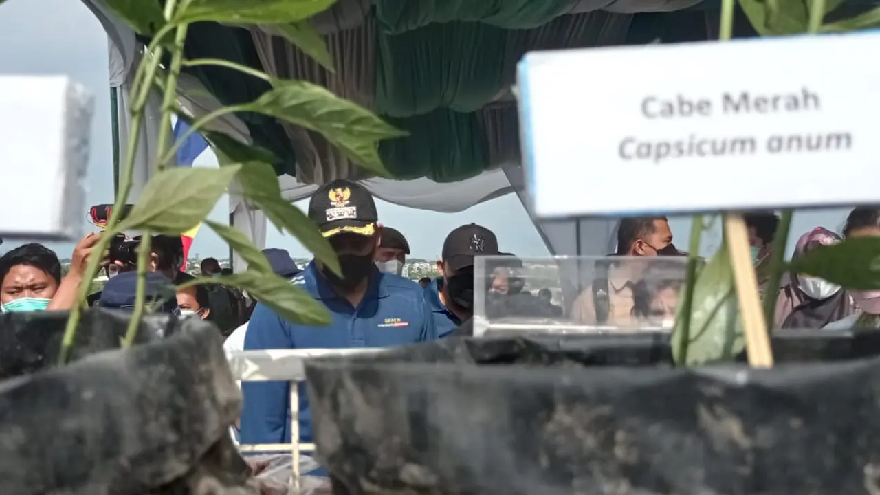 Wali Kota Medan, Bobby Nasution