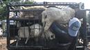 Pembeli mengangkut domba ke dalam mobil pikap di Pasar Hewan Jonggol, Kabupaten Bogor, Jawa Barat, Kamis (7/7/2022). Menjelang Idul Adha yang jatuh pada 10 Juli mendatang, pasar hewan terbesar se-Jabodetabek itu kian ramai dipadati oleh aktivitas jual beli hewan kurban seperti sapi, kerbau, dan domba. (merdeka.com/Iqbal S Nugroho)