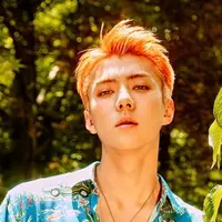Maknae dari EXO, Sehun tidak hanya dianugerahi dengan wajah yang tampan saja. Idol kelahiran 12 April 1994 ini juga jago ngedance. (Foto: soompi.com)