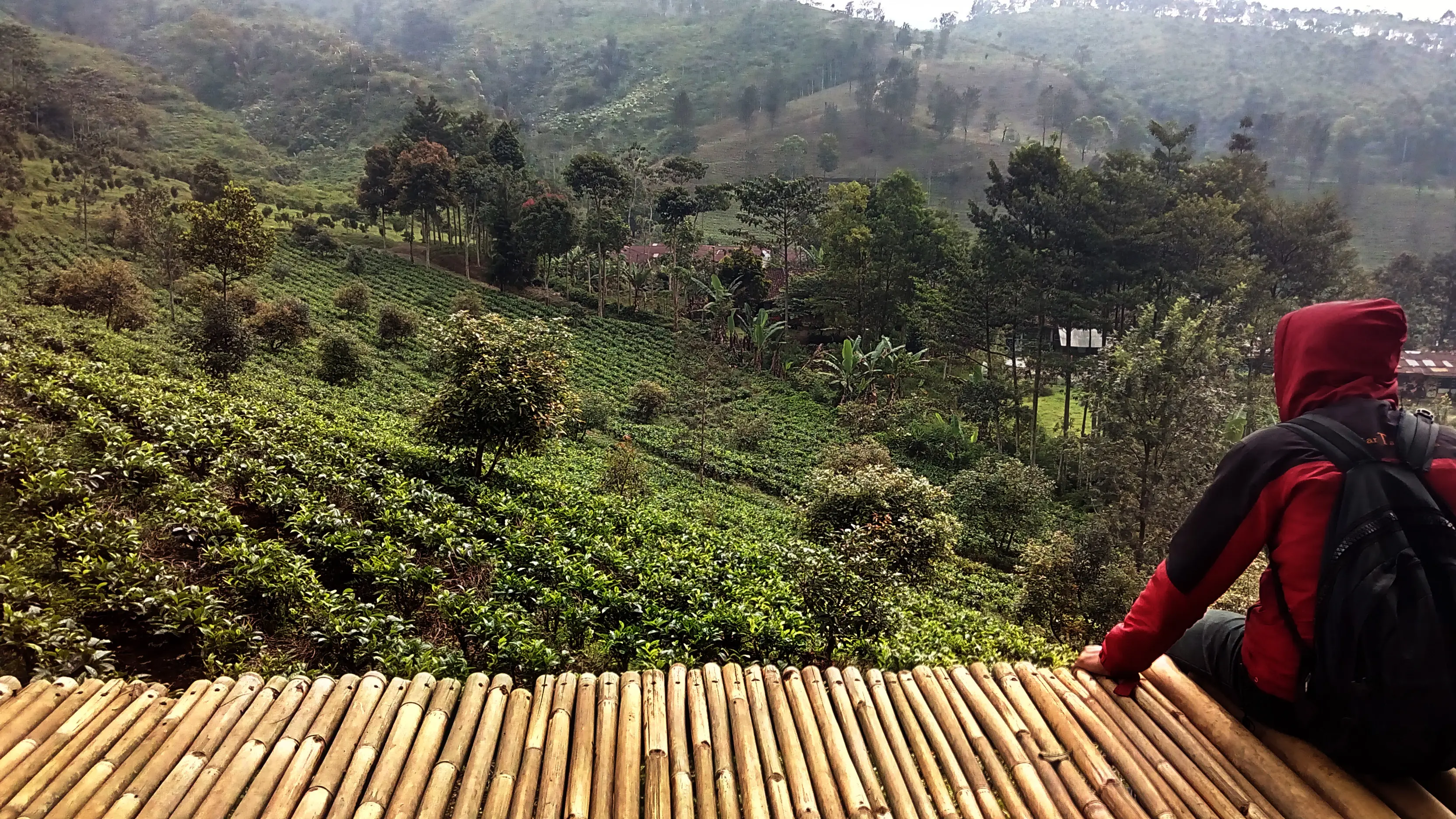 Istilah Kampung My Darling di Garut, Jabar, berasal dari gerakan bersama warga yang sebagian besar pekerja pabrik teh untuk melestarikan lingkungan. (Liputan6.com/Jayadi Supriadin)