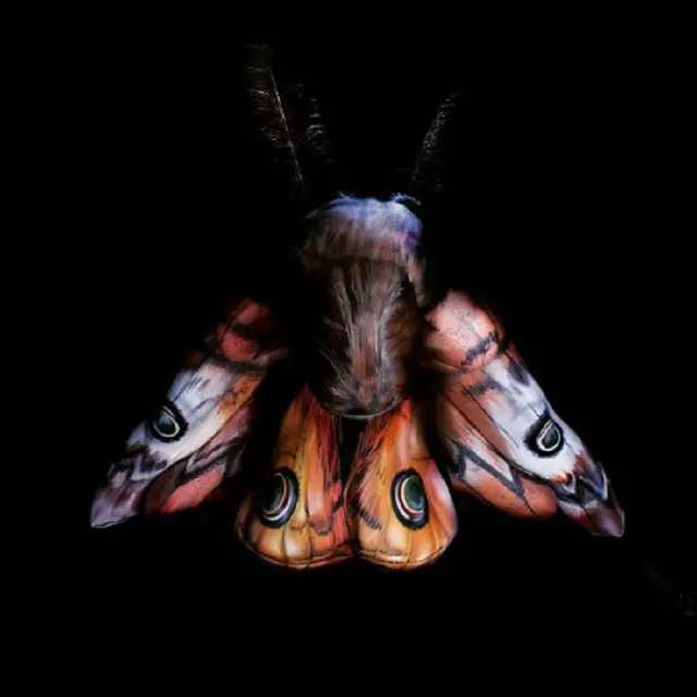 Bikin Takjub, 10 Potret Body Painting Berhasil Menipu Mata