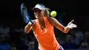 Maria Sharapova berusaha memukul bola saat melawan Roberta Vinci di pertandingan putaran pertama Grand Prix WTA di Stuttgart, Jerman (26/4). Sharapova sebelumnya terkena hukuman larangan bertanding akibat terjerat kasus doping. (AFP Photo/Thomas Kienzle)