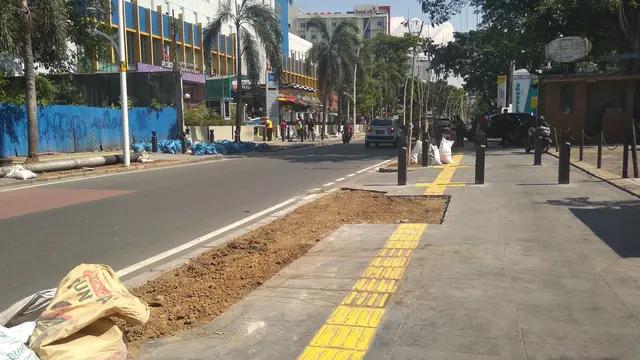 Pohon-pohon tabebuya telah berdiri tegak, tertanam di sepanjang trotoar Cikina, Jakarta. (Liputan6.com/Ade Nasihudin Al Ansori)