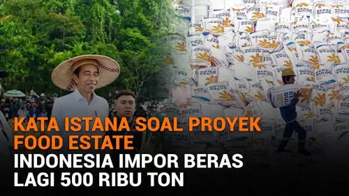 Kata Istana soal Proyek Food Estate, Indonesia Impor Beras Lagi 500 Ribu Ton