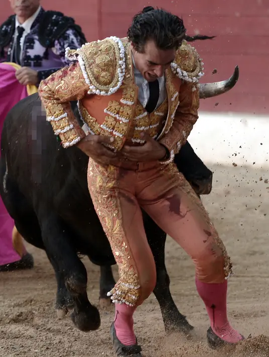 Seorang matador, Ivan Fandino ditanduk oleh banteng lawannya saat tampil dalam sebuah arena di Prancis barat daya, Sabtu (17/6). Kaki dari matador profesional yang sudah berkarier selama 12 tahun itu, tertangkap oleh si banteng. (IROZ GAIZKA/AFP)