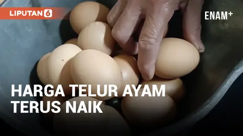 VIDEO: Harga Telur Ayam Naik, Omzet Pedagang Turun 50 Persen