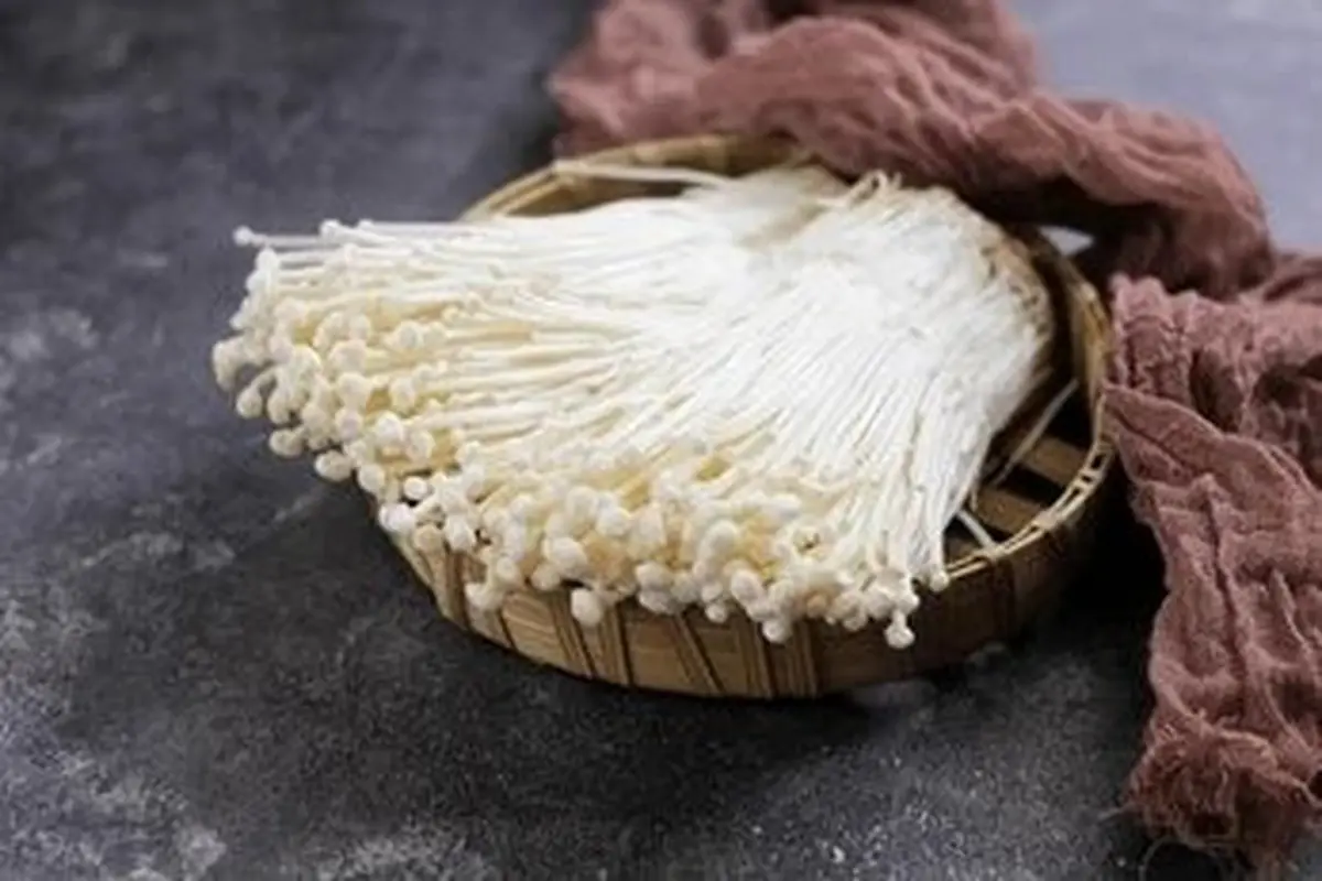 Jamur Enoki
