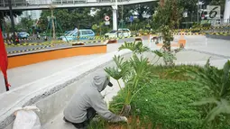 Pekerja mencabuti rumput di proyek pembangunan Taman Dukuh Atas di Jalan Jenderal Sudirman, Jakarta, Jumat (2/8/2019). Pembangunan ruang terbuka baru di Dukuh Atas ini diharapkan menjadi ruang bagi pejalan kaki dan lokasi berpindah moda transportasi. (Liputan6.com/Immanuel Antonius)