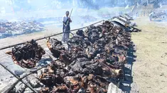 Sebanyak 16.500 kg daging sapi dipanggang di Taman Rodo di Minas, Uruguay (10/12). Memanggang massal daging sapi ini merupakan acara untuk memecahkan Guinness World Records. (AFP Photo/Miguel Rojo)