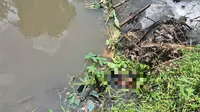 Dikira Boneka, Warga Tajurhalang Digegerkan Penemuan Mayat Bayi di Pinggir Kali