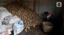 Seorang petani mengumpulkan kentang hasil panen di Desa Sembungan, Dieng, Jawa Tengah, 1Juli 2021. Masyarakat di Dieng berharap pandemi segera berakhir agar harga kentang kembali normal dan geliat wisata kembali ramai. (merdeka.com/Iqbal S. Nugroho)
