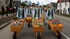 Sejumlah pria mengenakan pakaian adat Belarusia mendorong gerobak berisikan sayuran dalam Festival Dozynki di Minsk, Belarusia, Minggu (7/10). Warga Belarusian rayakan pengumpulan hasil panen dalam festival ini. (AP Photo/Sergei Grits)