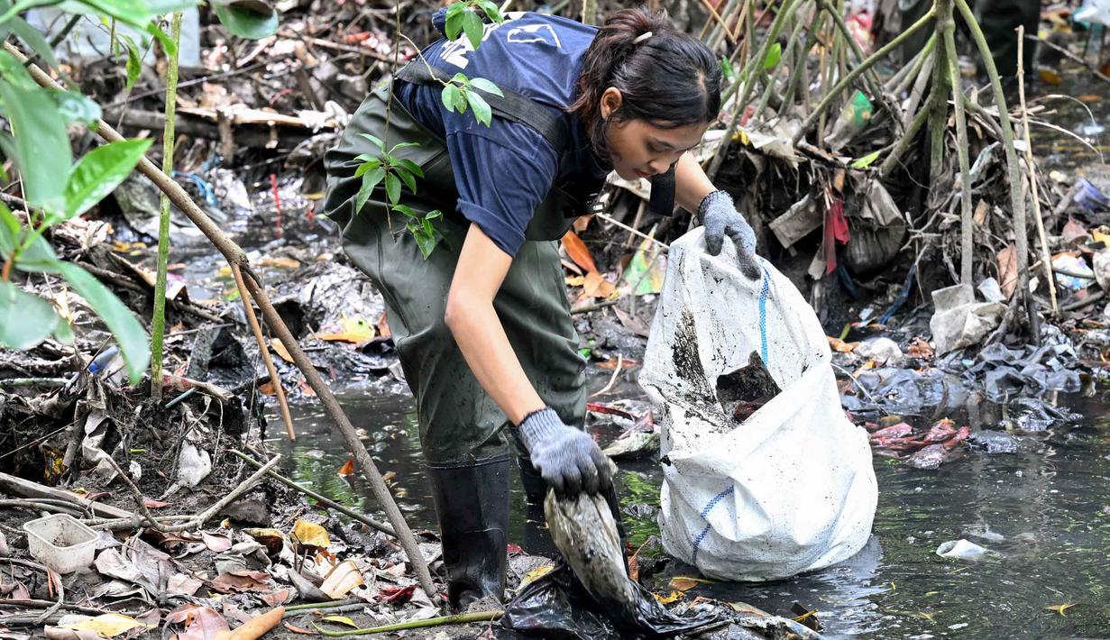 Sampah plastik tersebut seringkali tersangkut di akar, menghambat pertumbuhan mangrove, dan mencemari biota laut. Tampak dalam foto, seorang wanita membersihkan sampah plastik di area hutan bakau sebagai bagian dari kampanye kebersihan di Desa Serangan, Denpasar, Bali, pada Rabu 15 April 2026. (SONNY TUMBELAKA/AFP)