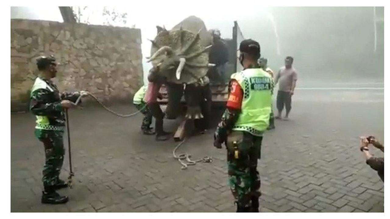Heboh Video Dinosaurus Triceratops Muncul di Magetan, Ini Fakta Dibaliknya