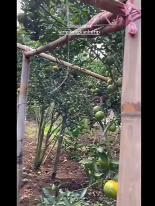 Lesti Kejora (Youtube/Yuni Andriyani Official)