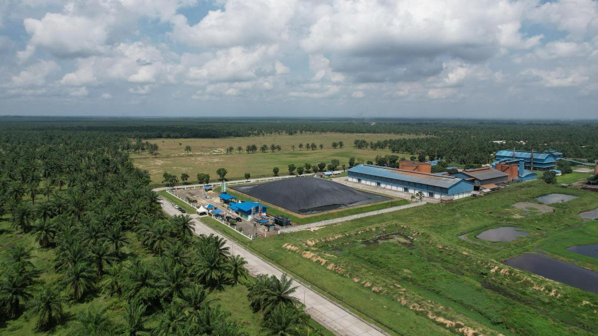 Lewat Aplikasi Eco Cycle, Kelola Limbah di Industri Sawit hingga Karet Lebih Mudah