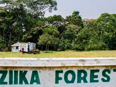 Sebuah gambar menunjukkan pintu masuk hutan virus Zika di Uganda, 29 Januari 2016. Hutan ini merupakan lokasi pertama kali ditemukannya virus Zika pada April 1947 setelah pengujian menggunakan monyet-monyet oleh ilmuwan. (ISAAC KASAMANI/AFP)