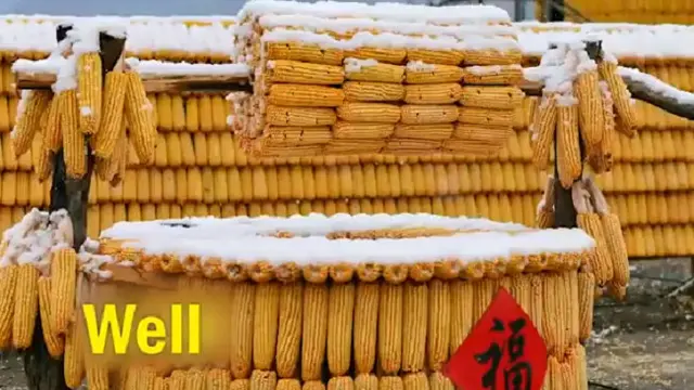 Rumah Jagung