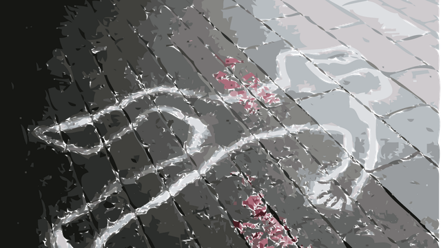 [Bintang] Kasus Pembunuhan Anak dalam Kardus Kembali Membawa Duka