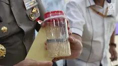 Petugas menunjukkan barang bukti benih lobster saat rilis penyelundupan benih lobster di Gedung Dittipidter Bareskrim Mabes Polri, Jakarta, Selasa (13/8/2019). Bersama KKP, Polisi mengungkap penyelundupan 57.058 ekor benur jenis pasir dan jenis mutiara 203 ekor. (Liputan6.com/Helmi Fithriansyah)