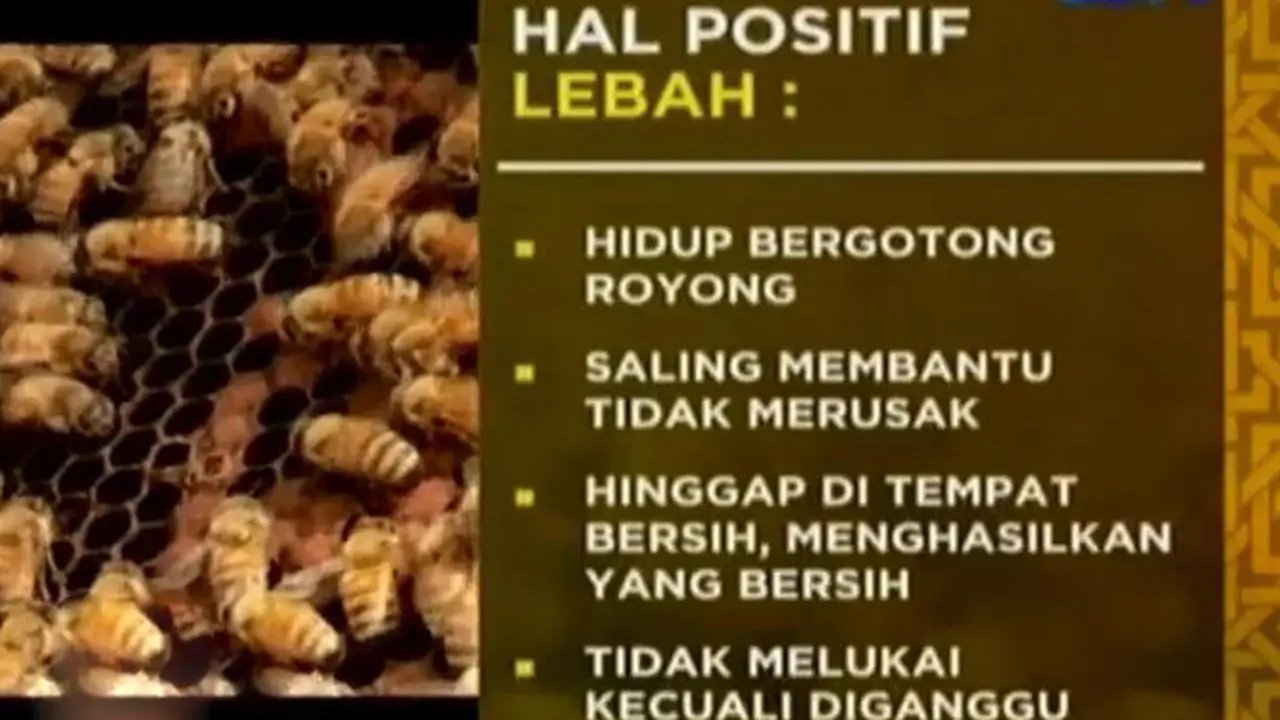 Sifat Lebah