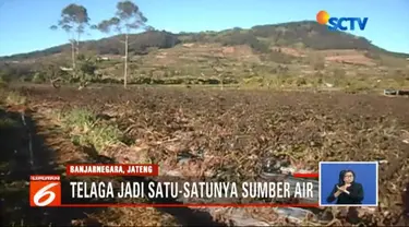 Menghadapi dampak suhu dingin yang ekstrem, ratusan petani di lereng Gunung Dieng, Banjarnegara, Jawa Tengah kini harus bekerja ekstra keras mengatasi kekeringan.