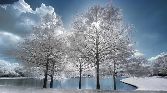 Hasil Foto Unik Infrared Photography (sumber: Instagaram/@earthfervor)
