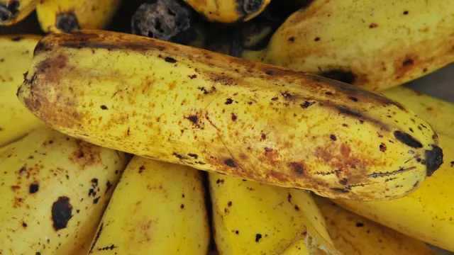 pisang terlalu matang