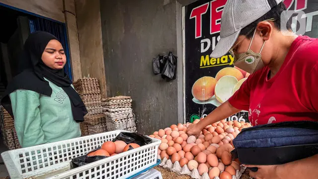 Harga Telur Alami Kenaikan