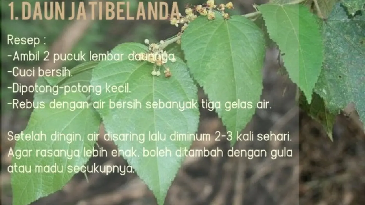 Ingin Tubuh Langsing dan Ideal, Raih dengan 9 Bahan Alami Ini