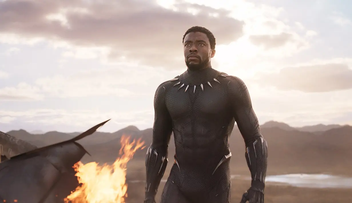 Black Panther (IMDb/ Marvel Studios)