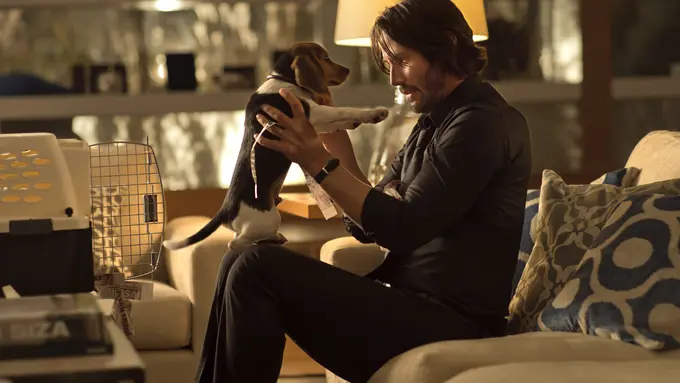 [Bintang] John Wick