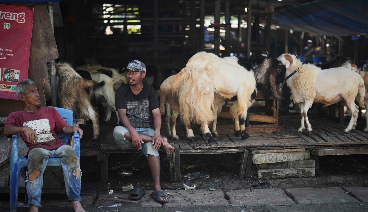 Para pedagang kambing menunggu pelanggan menjelang Hari Raya Idul Adha 1447 Hijriah di Jakarta, Selasa 26 Mei 2026. (AP Photo/Dita Alangkara)