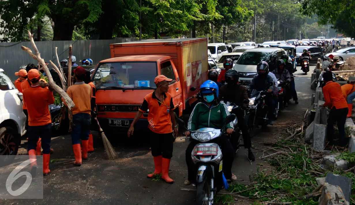 Petugas kebersihan DKI Jakarta melakukan pemotongan pohon tumbang di depan RSCM, Jakarta, Selasa (27/10/2015). Sebuah pohon besar tumbang menutup jalan dan menimpa bus metromini di depan RSCM. (Liputan6.com/Yoppy Renato)