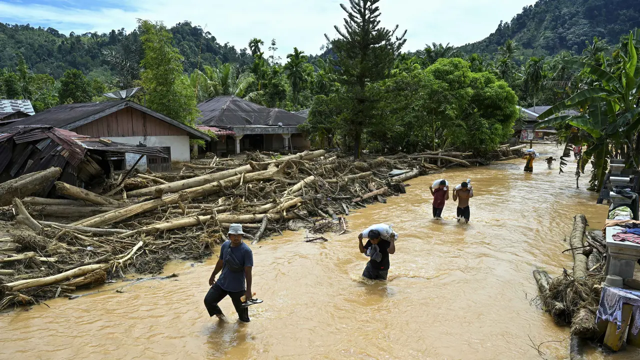 Banjir Sumatera: Penampakan Tumpukan Kayu Gelondongan di Desa Tukka Tapanuli Tengah