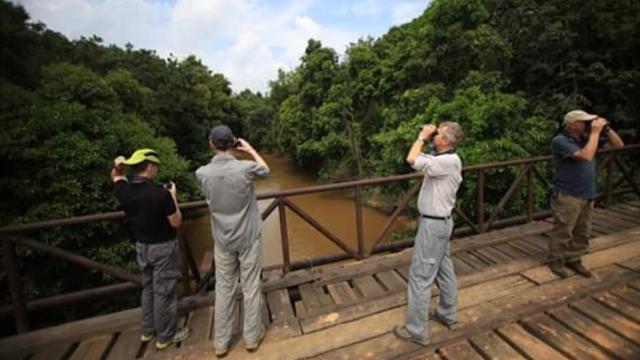 Sejumlah wisatawan sedang mengamati burung di Hutan Harapan, Jambi. (Liputan6.com/Dok. Hutan Harapan/Gresi Plasmanto)