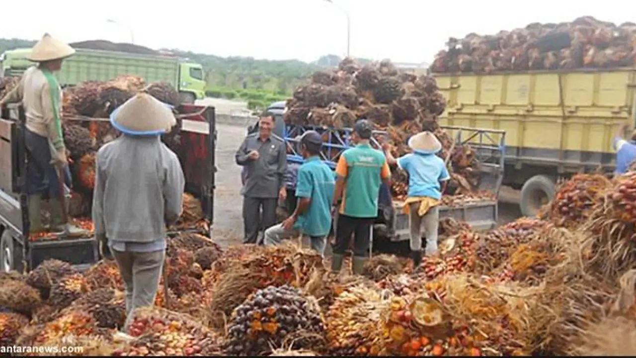 Produksi CPO