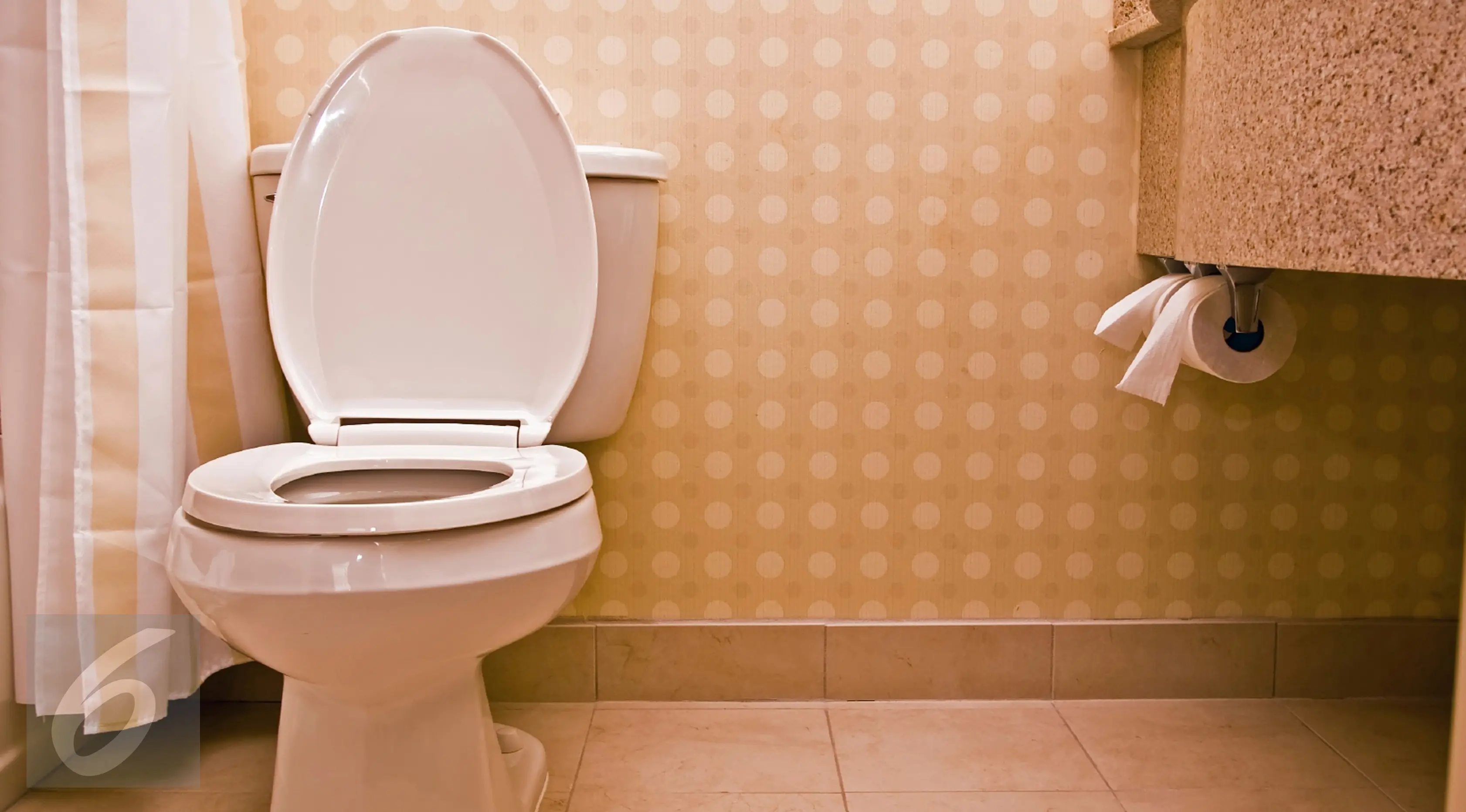 Ilustrasi toilet (iStockphoto)