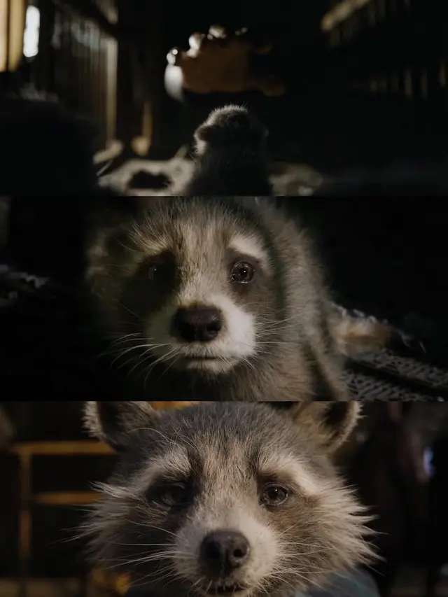 Guardians of the Galaxy Vol. 3 (Foto: Twitter @Guardians @Marvelfan2023)
