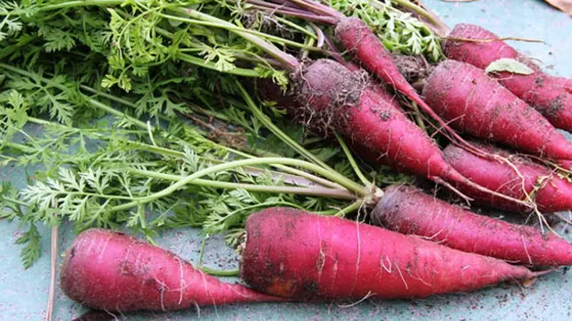 Pickmeyard.wordpress.com