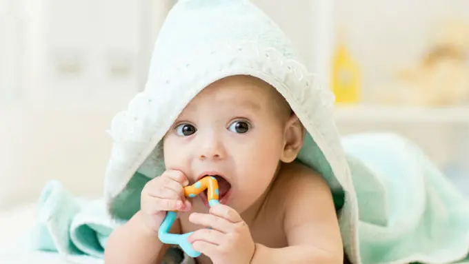 Foto: copyright thinkstockphotos.com