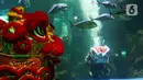 Sejumlah penampil menunjukkan atraksi barongsai di dalam akuarium Sea World Ancol, Jakarta, Rabu (18/1/2023). Pertunjukan barongsai bawah air tersebut merupakan rangkaian Ancol Lunar Fest 2023 dalam rangka menyambut Tahun Baru Imlek 2574 Kongzili. (Liputan6.com/Herman Zakharia)