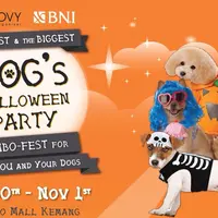 Punya anjing keren tapi gak pernah diikutin event? Fail! Nih ikutan Dogs Halloween Party 2015!