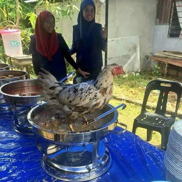 6 Momen Apes Makan di Acara Pernikahan Ini Bikin Tamu Undangan Elus Dada