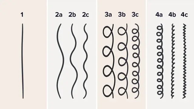 Ilustrasi jenis rambut atau tipe rambut