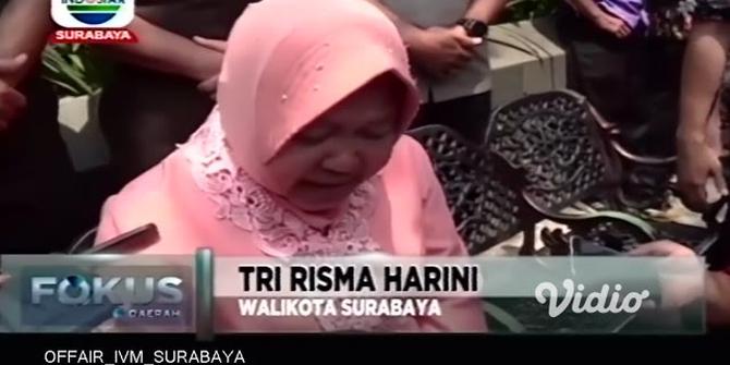 VIDEO: Indahnya Bunga Tabebuya Daya Tarik Wisata Kota Surabaya