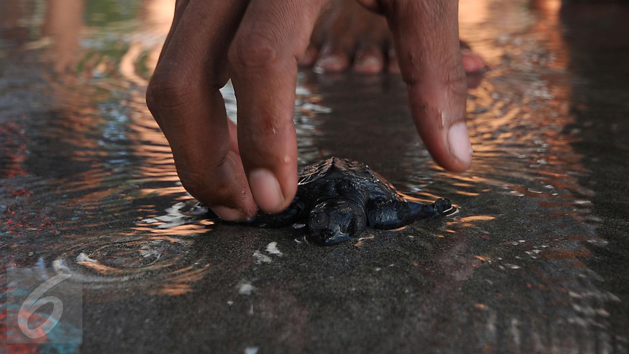 20150831-Tanah Lot dan Pantai Kuta Masih Jadi Primadona Wisata Pulau Dewata