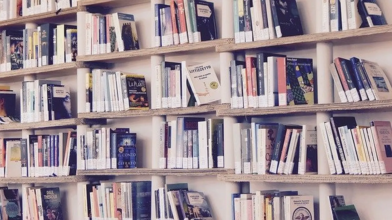 Ilustrasi Perpustakaan