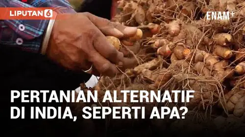 VIDEO: Pertanian Alternatif Bantu Tingkatkan Perekonomian Pedesaan di India